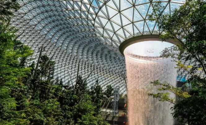 2025双十一集运新加坡全攻略：合规省心直购中国商品！