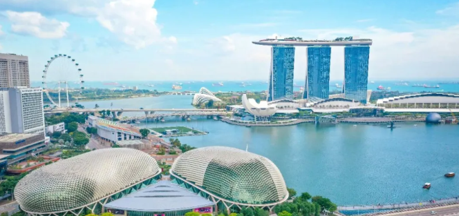 2025中国到新加坡集运价、时、坑全解析