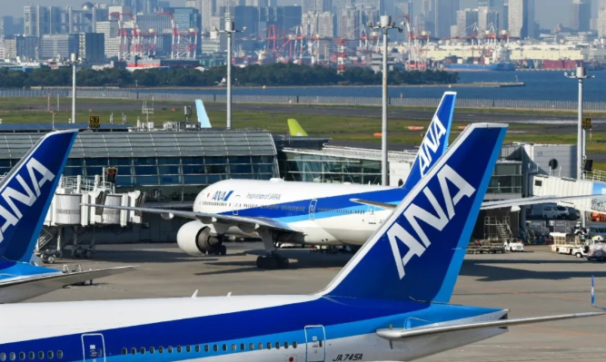 中国发文莱物流专线指南：空运海运高效解决方案